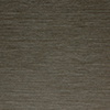 Metallic Bronze
